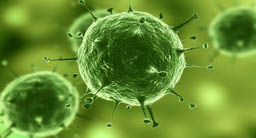 biocides fournisseurs approuves